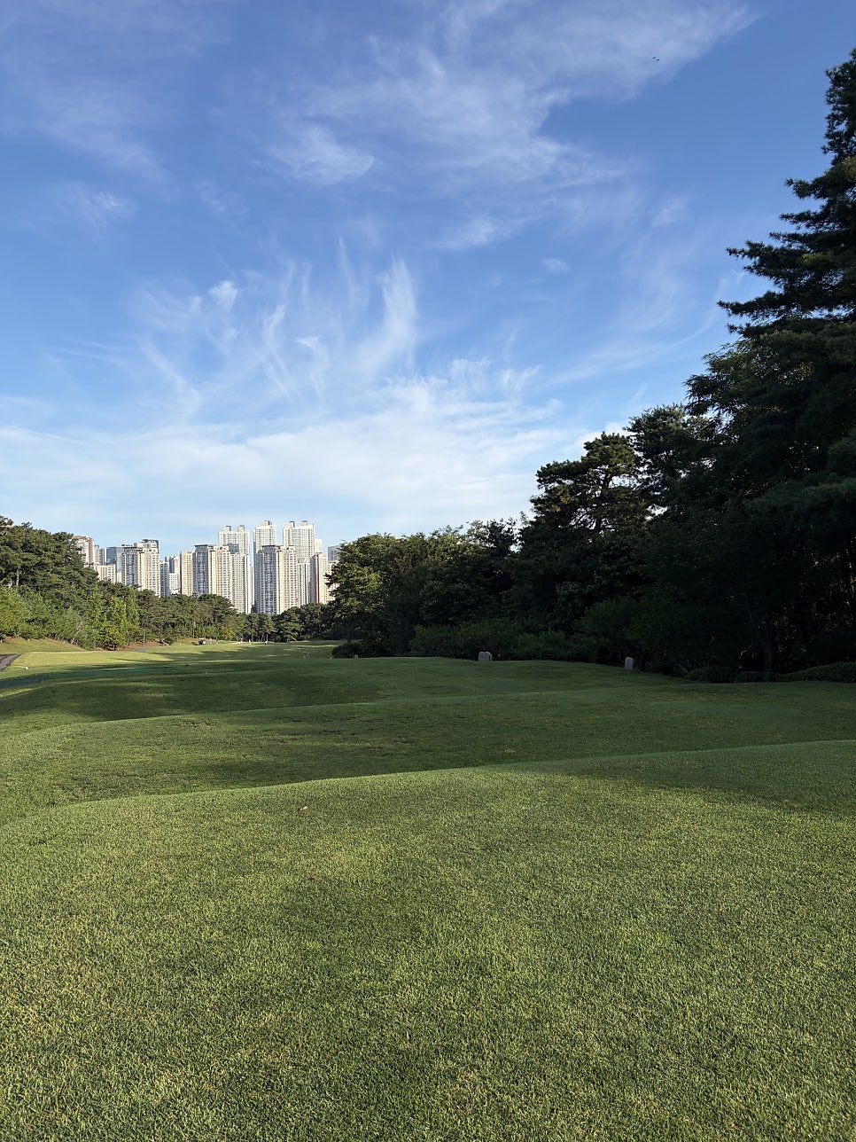 리베라CC 라운딩 전후, 동탄에서 밥집 고르는 법