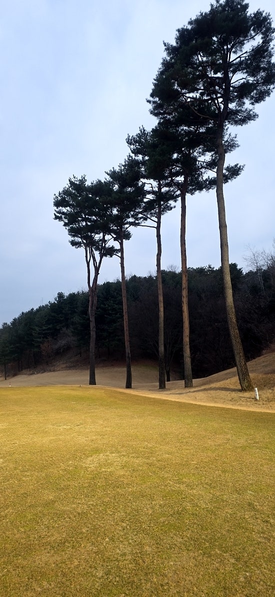 솔모로CC 라운딩 전후, 여주 가남읍에서 뭘 먹을까
