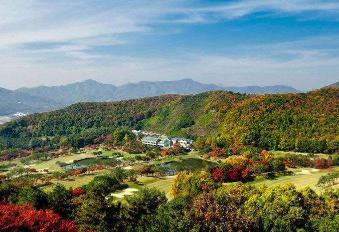 코리아CC 라운딩 전후, 기흥단지로에서 밥집 고르는 법