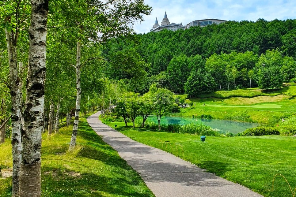 하이원CC 고원 코스 전경