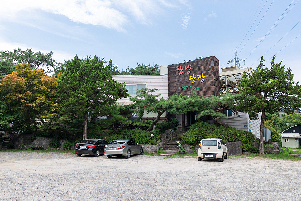 한양CC 라운딩 전후, 원당·성사동에서 밥집 고르는 법