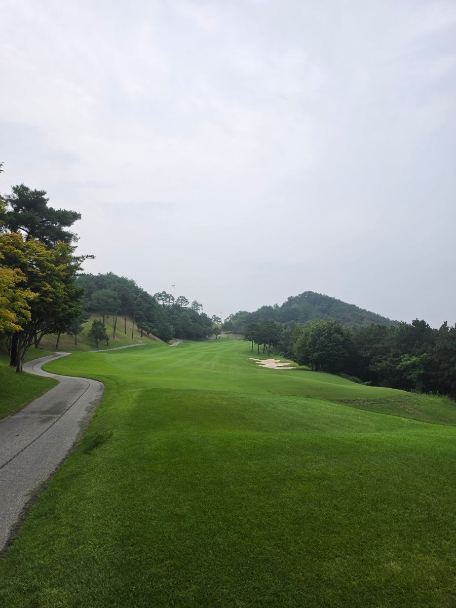 화성상록GC 라운딩 전후, 동탄에서 밥집 고르는 법