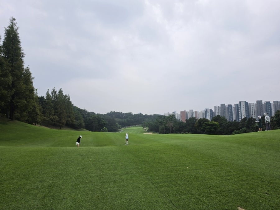화성상록GC 라운딩 전후, 동탄에서 밥집 고르는 법