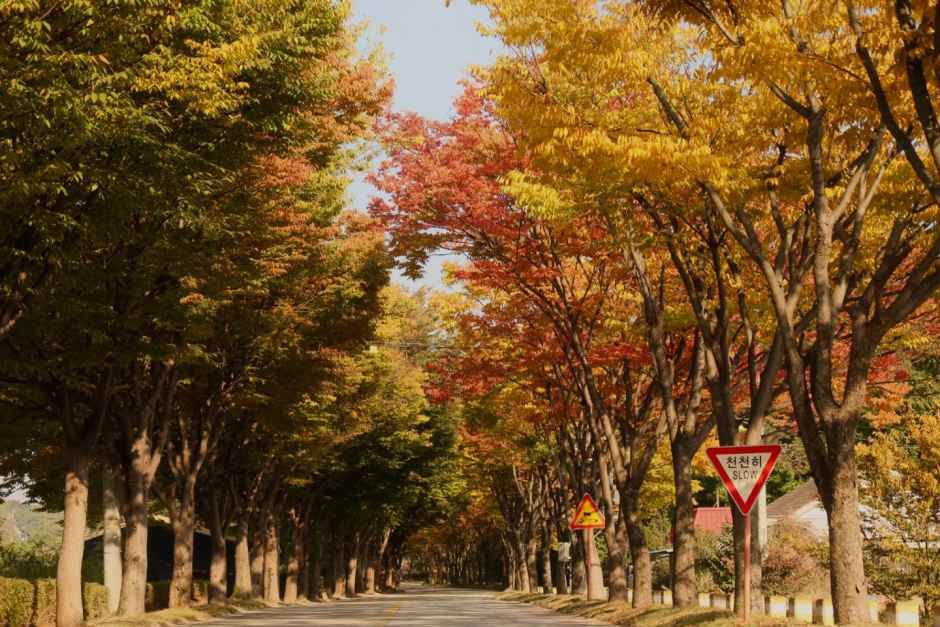 솔모로CC 라운딩 전후, 여주 가남읍에서 뭘 먹을까
