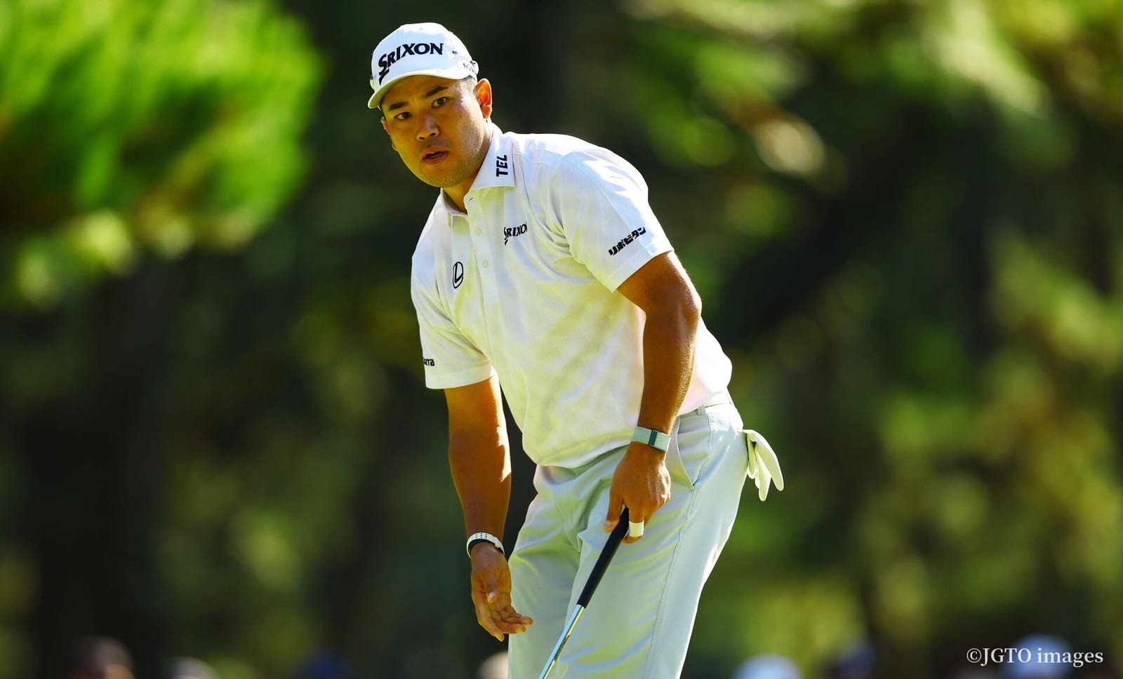 ‘PGA 스타’ 마쓰야마 히데키, 제53회 던롭 피닉스 토너먼트 출격 확정 - club14 골프매거진
